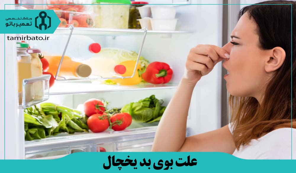 علت بوی بد یخچال