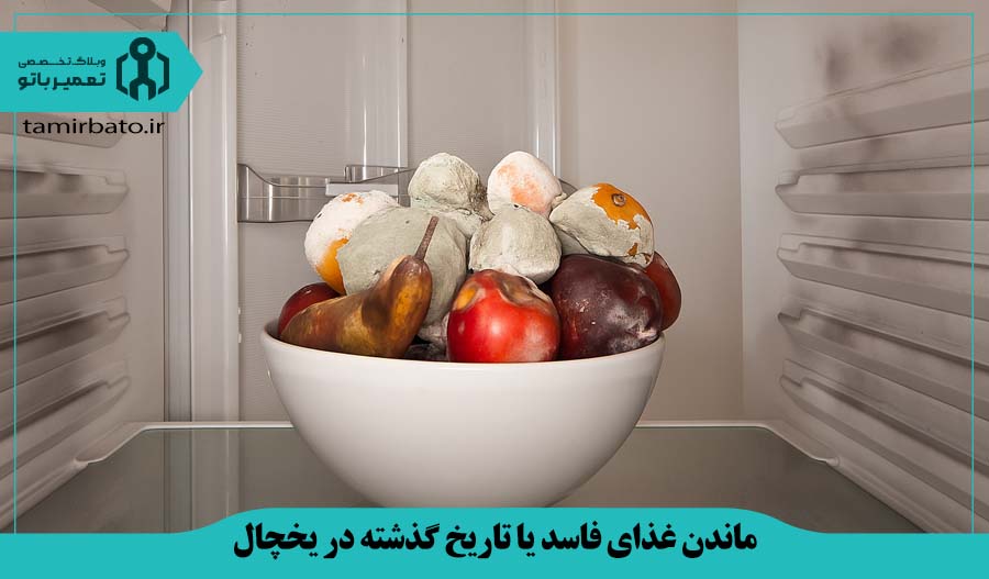 ماندن غذای فاسد یا تاریخ گذشته در یخچال