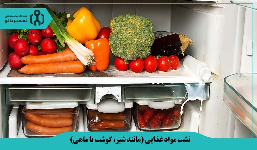 نشت مواد غذایی (مانند شیر، گوشت یا ماهی) در یخچال